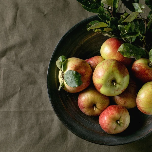 Ripe Organic Gardening Green Red Apples Leaves Ceramic Dish Standing — стоковое фото