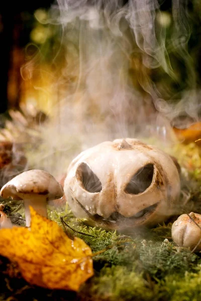 Halloween Atmosfera Favola Magico Autunno Sfondo Della Foresta Nebbiosa Jack — Foto Stock