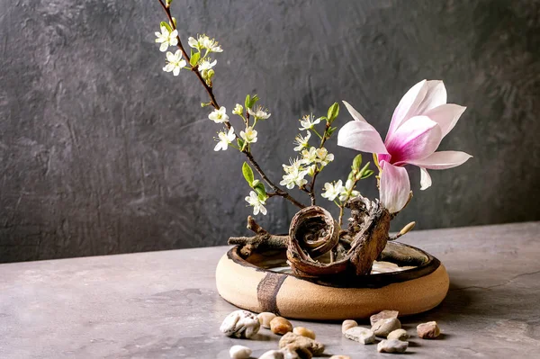 春天Ikebana 花的构图 春花盛开的木兰花和李枝花在褐色陶瓷碗里 树皮和石头围绕着 屹立在灰色的桌子上 日本风格的家居装饰 复制空间 — 图库照片