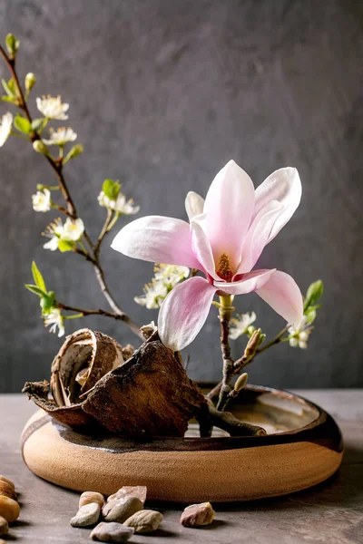 Voorjaar Ikebana Bloemen Compositie Met Lente Bloeiende Magnolia Pruim Tak — Stockfoto