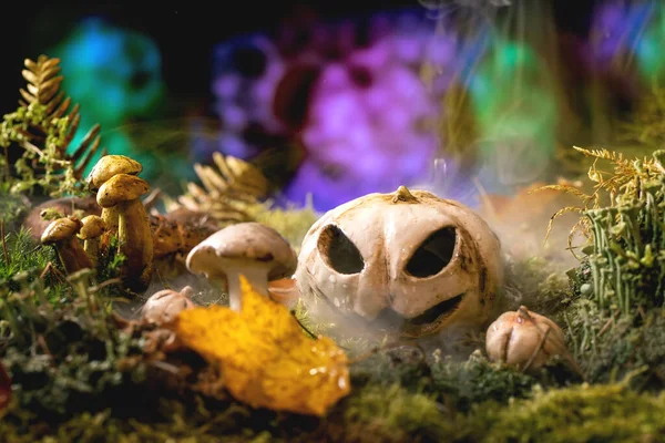 Halloween Pohádka Ambiance Magické Podzimní Mlhavé Lesní Pozadí Keramická Jack — Stock fotografie