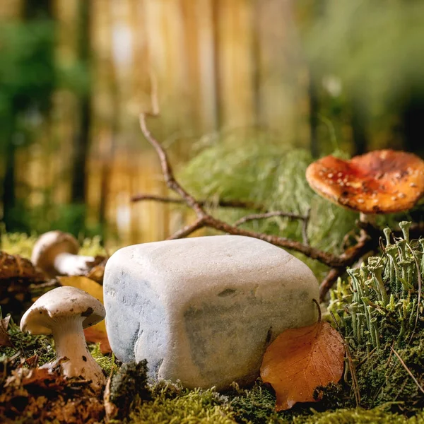 Sprookjesachtige Sfeer Magische Herfst Bos Achtergrond Kubus Steen Als Display — Stockfoto