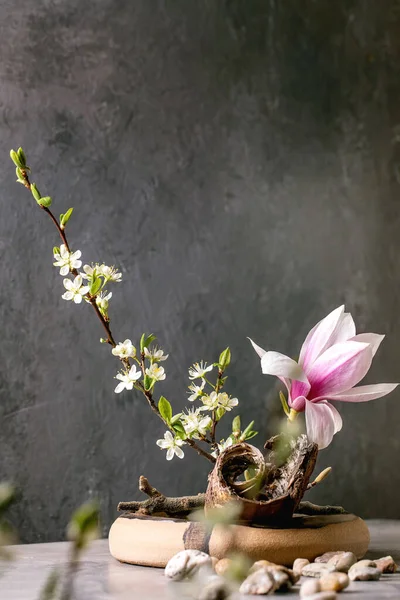 Wiosenna Ikebana Kompozycja Kwiatowa Kwitnącymi Wiosennymi Kwiatami Magnolii Śliwki Brązowej — Zdjęcie stockowe