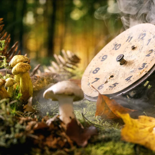Märchenhaftes Ambiente Zauberhafter Herbstwald Hintergrund Alte Zifferblätter Auf Herbstblättern Moos — Stockfoto