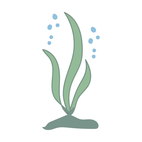 Cute Seaweed Hand Drawn Vector Illustration Design Element — Archivo Imágenes Vectoriales