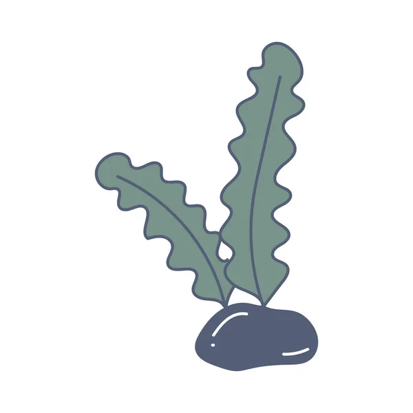 Cute Seaweed Hand Drawn Vector Illustration Design Element — стоковый вектор