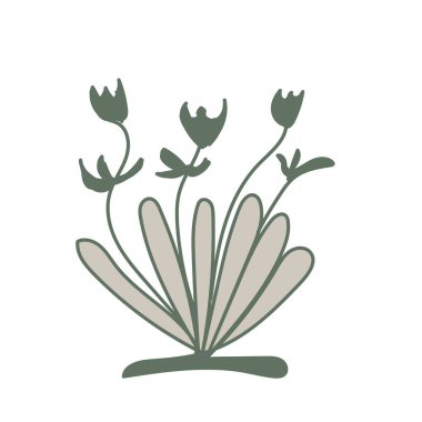 cute nature leaf illustration vector elements design