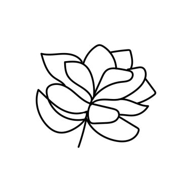 flower line art illustration vector elements design
