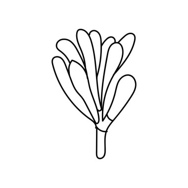 nature leaf line art illustration vector elements design