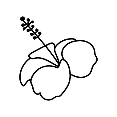 flower line art illustration vector elements design