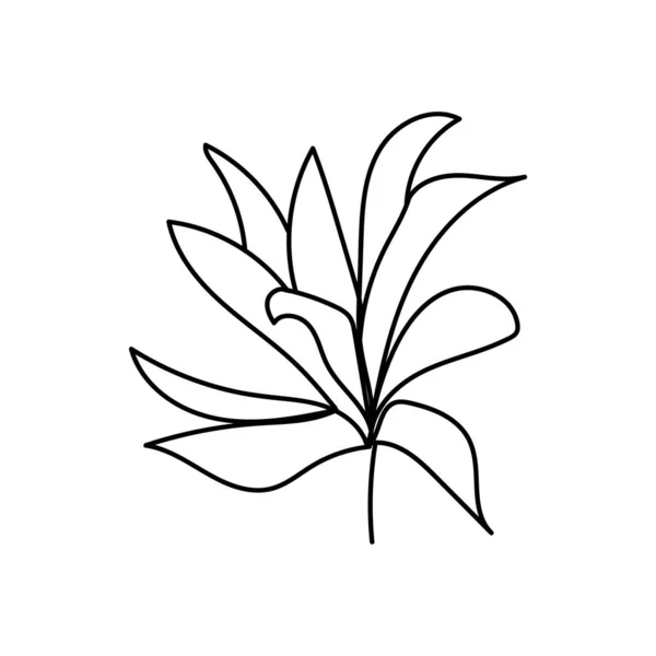 Nature Leaf Line Art Illustration Vector Elements Design — Stockvektor