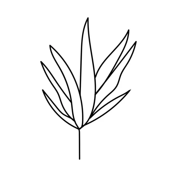 Nature Leaf Line Art Illustration Vector Elements Design — Stockvektor