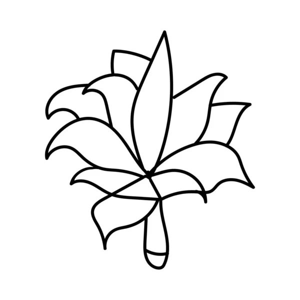 Nature Leaf Line Art Illustration Vector Elements Design — Vetor de Stock