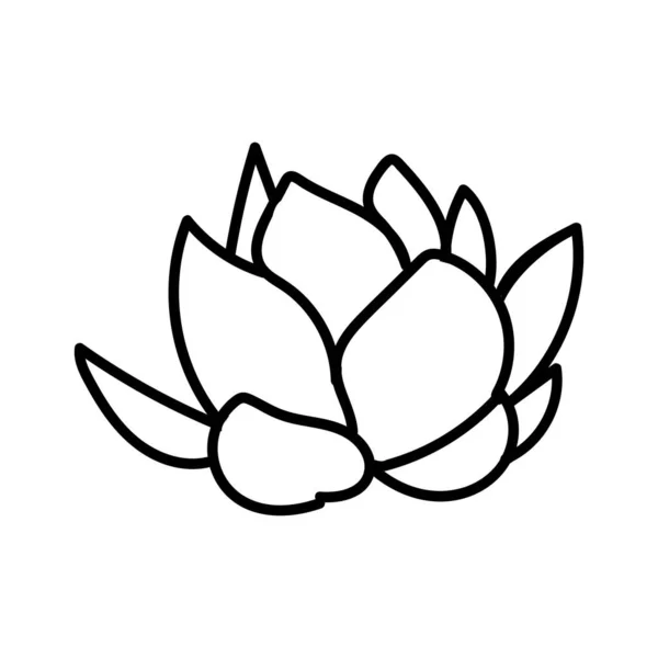 Flower Line Art Illustration Vector Elements Design — 图库矢量图片