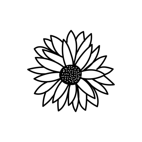 Flower Line Art Illustration Vector Elements Design — Vetor de Stock