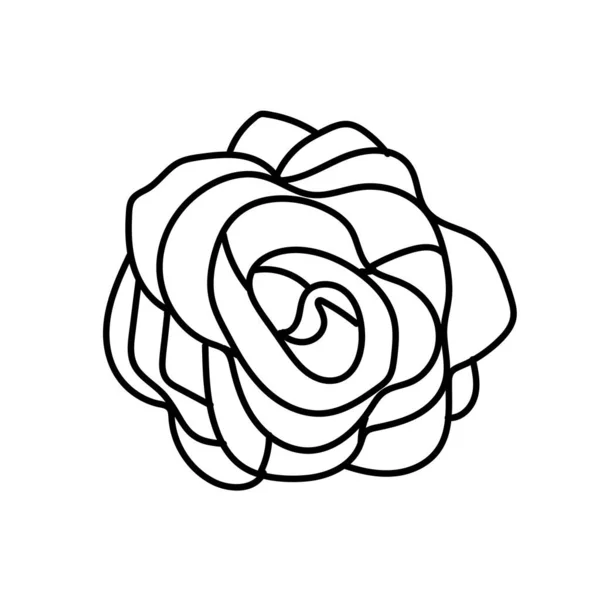 Flower Line Art Illustration Vector Elements Design — 图库矢量图片