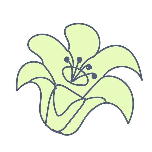 Flower Illustration Vector Elements Design — Stockový vektor