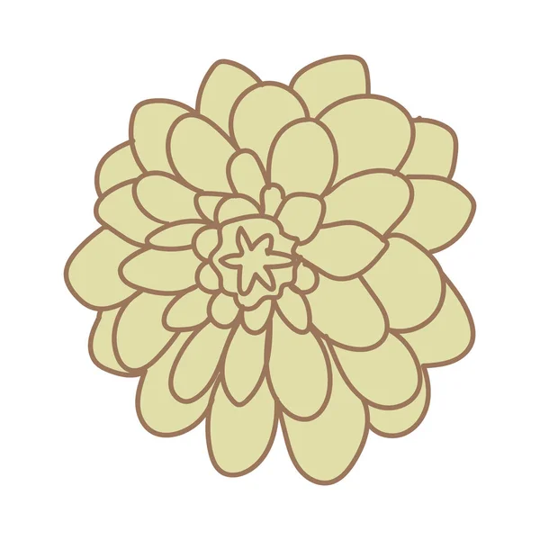 Flower Illustration Vector Elements Design — 图库矢量图片