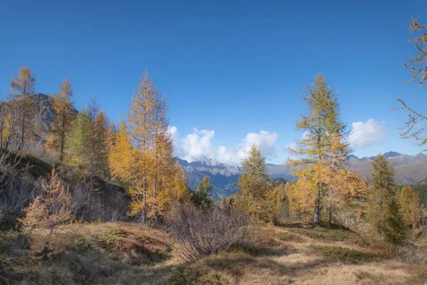 Landschaften Oder Berge Mit Herbstlichen Leriken — Stockfoto