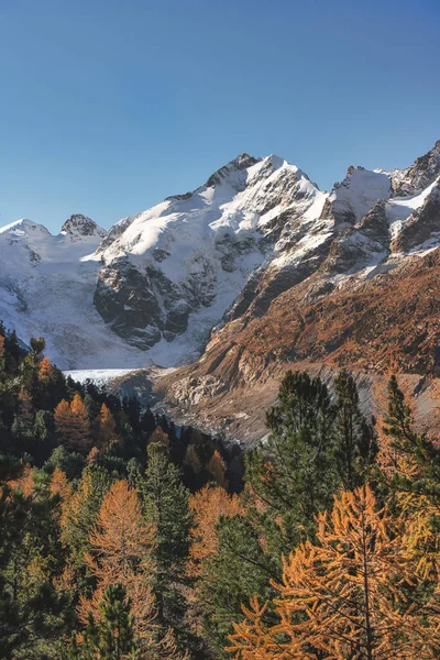 Пик Пиц Бернина Осеннем Пейзаже Швейцарских Альпах — стоковое фото