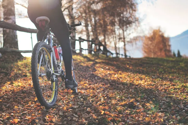 Sonbaharda Tepelerde Yapraklı Yollarda Bir Dağ Bisikletinin Geçişi — Stok fotoğraf