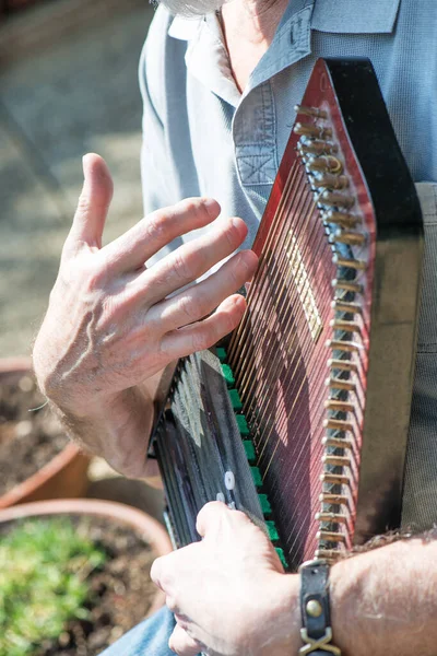 Gracz Instrumentu Muzycznego Autoharp Oskubanymi Strunami Należący Rodziny Chordophonów — Zdjęcie stockowe