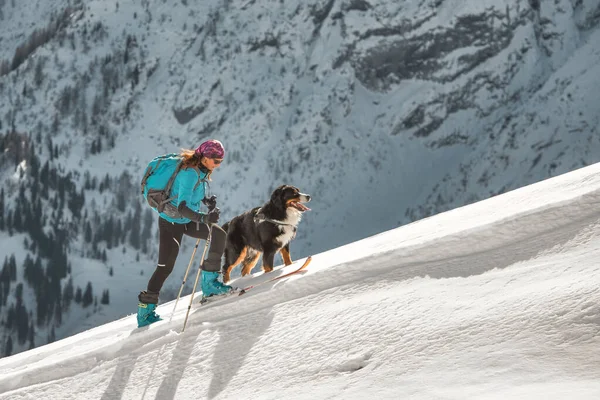 Kayak Dağcılığı Bir Bayıra Tırmanır Köpeğiyle Bir Kız — Stok fotoğraf