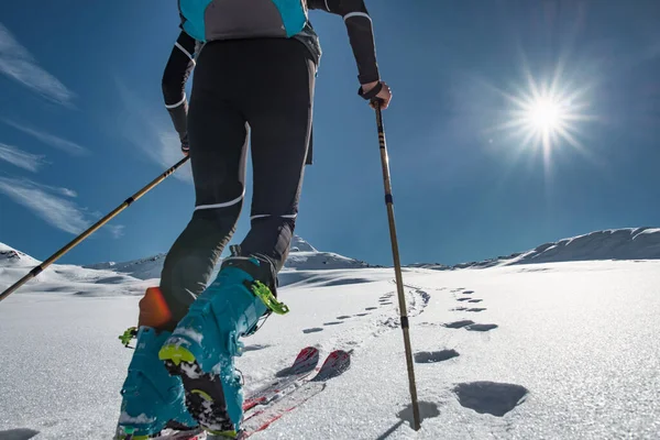 Kayak Dağcısı Fok Derileriyle Karlı Bir Yamaca Tırmanıyor — Stok fotoğraf