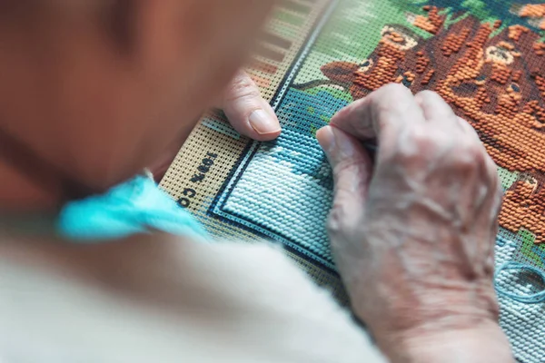 Hands Elderly Woman Working Coloring Threads Needle Half Stitch Technique — Zdjęcie stockowe