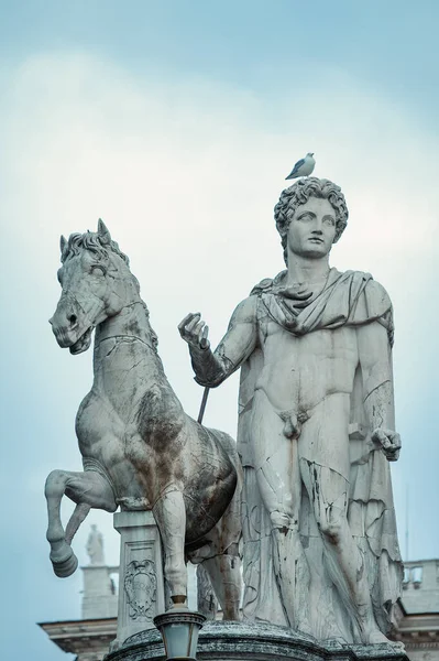 Het Standbeeld Van Castore Het Campidoglio Plein Rome Italië — Stockfoto