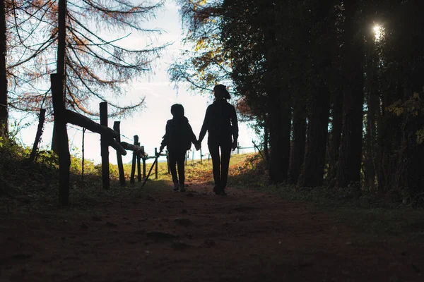 Moeder Zoon Lopen Hand Hand Een Bos Tijdens Een Wandeling — Stockfoto