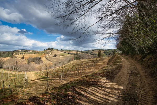 Terra Toscana Italia Vigneti Del Chianti — Foto Stock