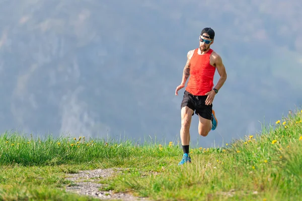 Runner Trains Altitude Raise Blood Hematocrit Value — Stockfoto