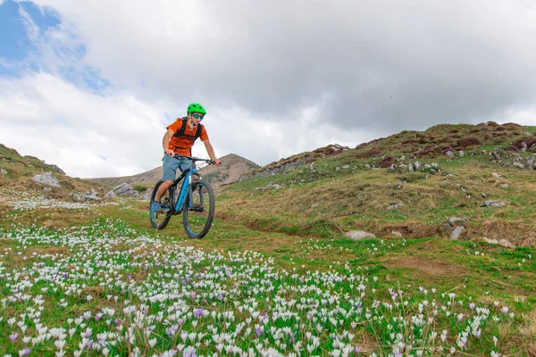 Young Mountain Biker Rides Mountain Meadow Spring Flowers — Φωτογραφία Αρχείου