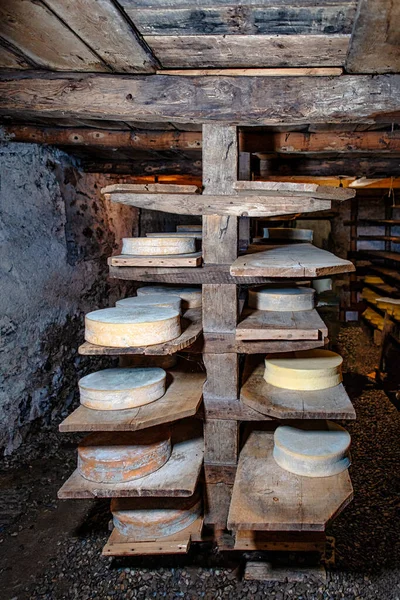 Maturation Native Alpine Cow Milk Cheeses Northern Italy — Stock Photo, Image