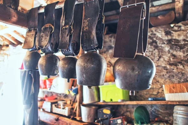 Some Cowbells Various Sizes Barn — Stok fotoğraf