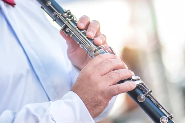 Detail of a clarinet player\'s fingers during a performance