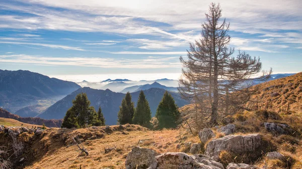 Landscape Silence Tranquility Hills Plants Mountain Backdrop — Stockfoto