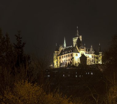 Kale wernigerode