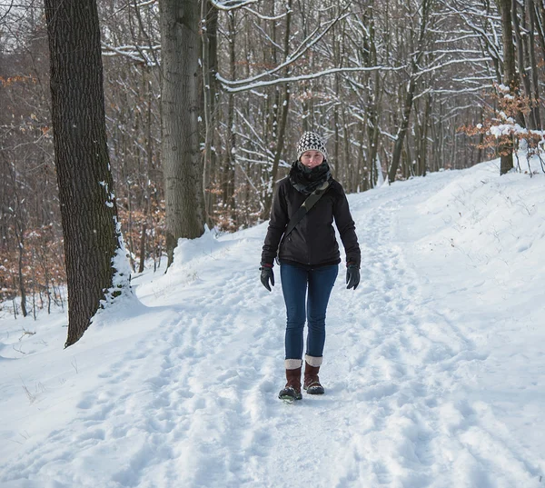 Caminando por el bosque de invierno — Foto de Stock