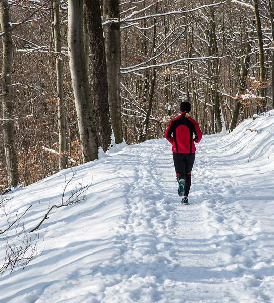 Winterlauf — Stockfoto