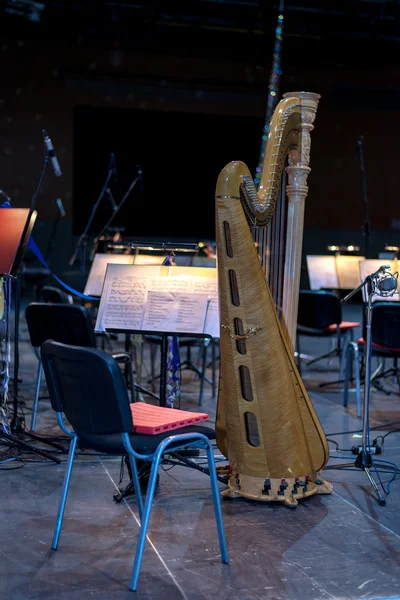 Harp in hall — Stock Photo, Image