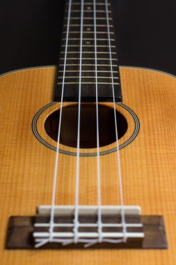Ukulele Hawai gitar