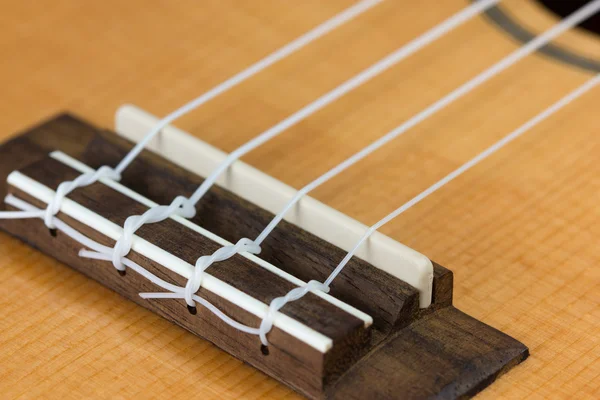 Closeup of ukulele hawaiian guitar