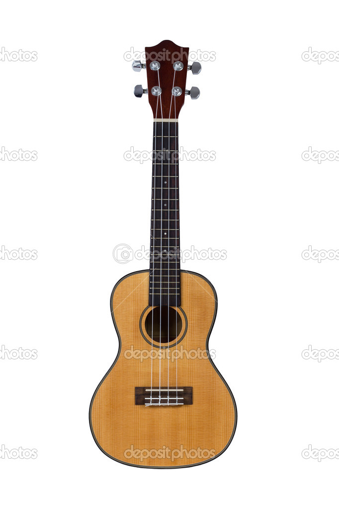 geestelijke gezondheid Familielid specificatie Ukulele hawaiian guitar Stock Photo by ©Dutko 29034175