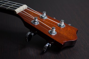 ukulele Hawai gitar parçası