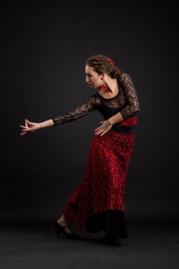 Flamenko Dansçısı