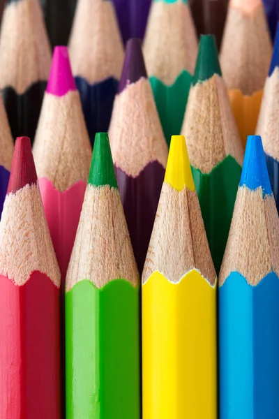 Rows of colorful pencils close-up — Stock Photo, Image