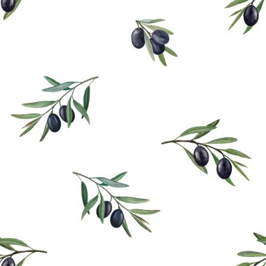 Zeytin dalları suluboya desensiz