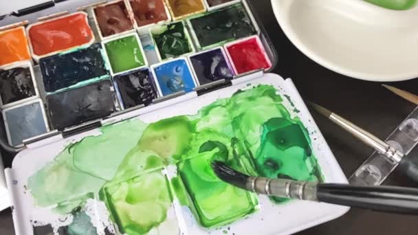 Peintures à l'aquarelle mélange et sélection des couleurs — Video